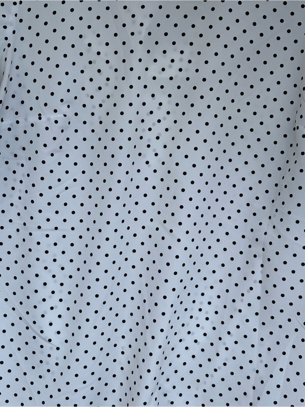 Liz Baker White Short Sleeve Top with Black Polka Dots - Picture 2 of 5